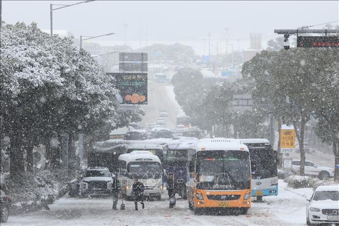 Hàn Quốc: Rét đậm kéo dài làm nhiều người tử vong và nhập viện- Ảnh 1.