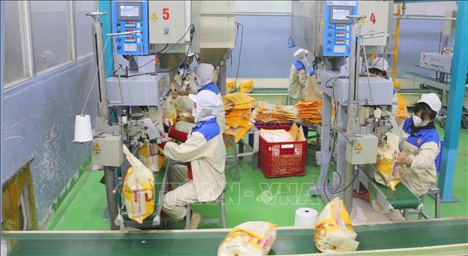 Giá lúa gạo trong nước ổn định, giao dịch trầm lắng- Ảnh 1.