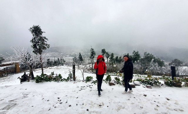 Sẽ có bao nhiêu đợt tuyết rơi ở vùng núi khi bước vào cao điểm không khí lạnh?- Ảnh 1. Sẽ có bao nhiêu đợt tuyết rơi ở vùng núi khi bước vào cao điểm không khí lạnh?- Ảnh 1.