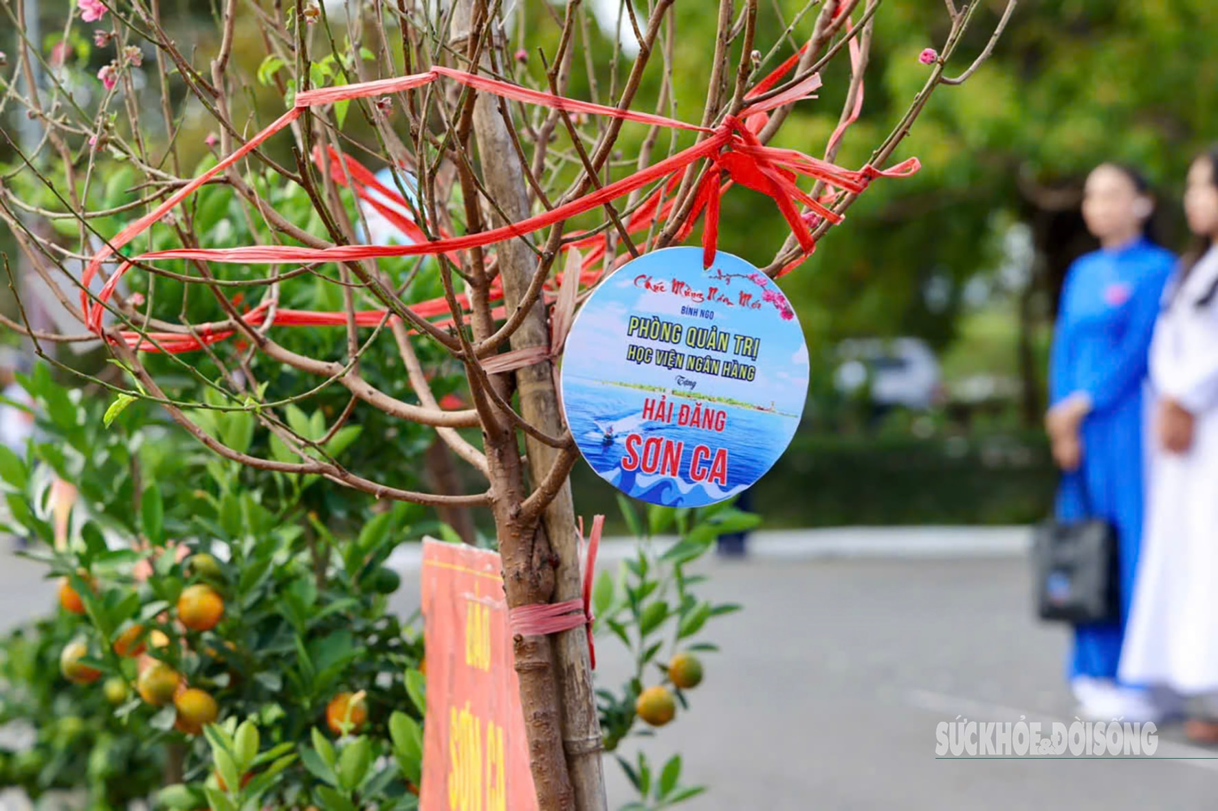 Mùa xuân lên đường ra Trường Sa- Ảnh 7.