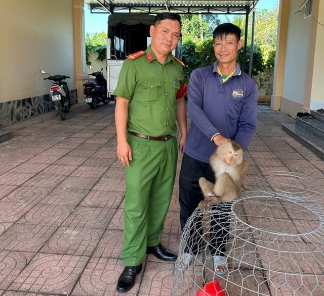 Ông Mai Xuân Lanh giao nộp cá thể khỉ tại Công an xã Nam Thành. Ảnh: CALĐ