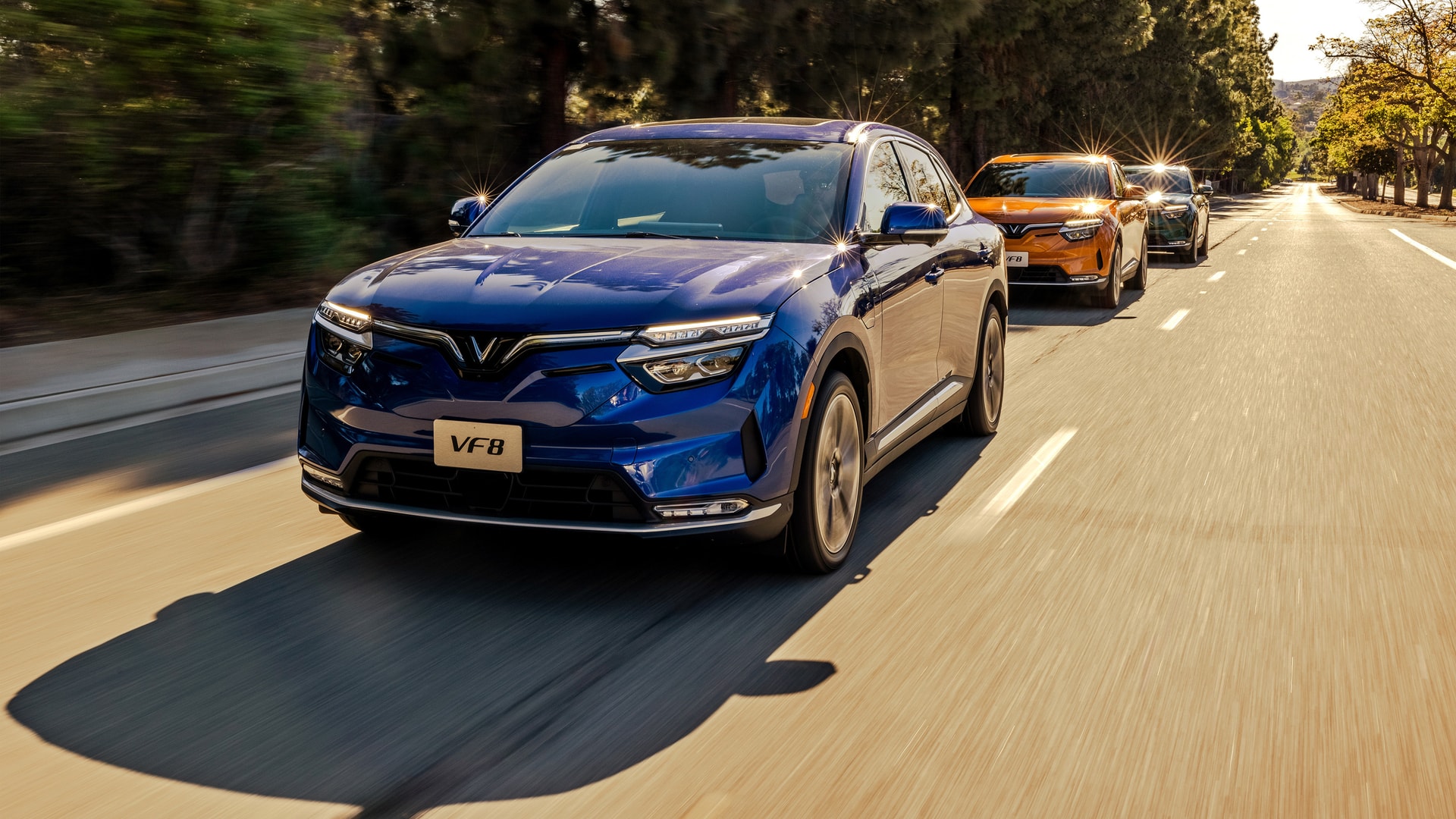 VinFast sẽ hỗ trợ trực tiếp lên tới 10% giá xe đối với các dòng ô cho VF 8, VF 9. (Ảnh: vingroup.net)