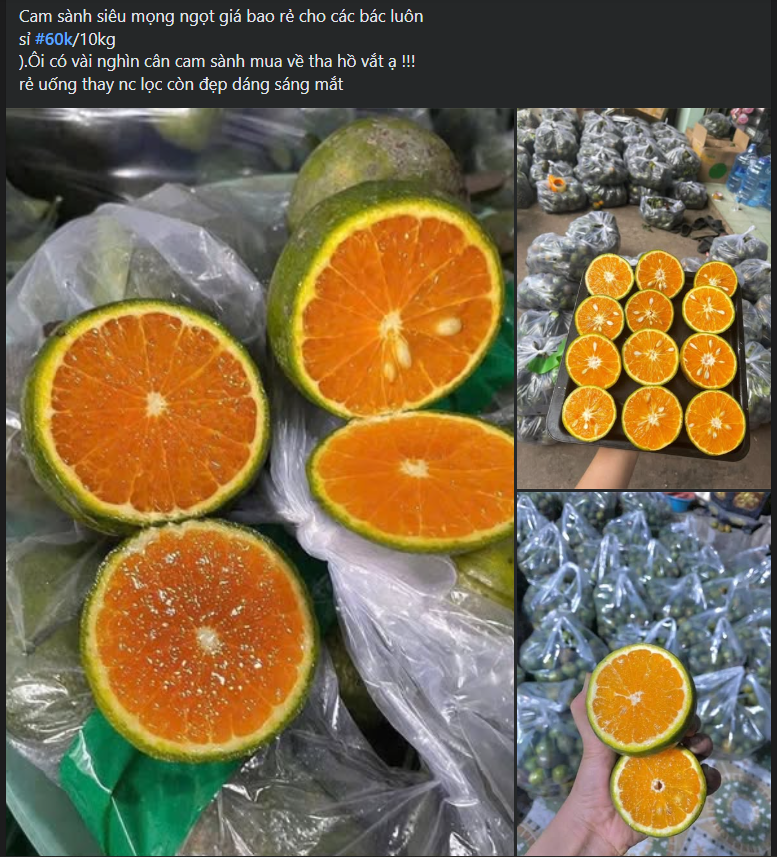 Một loại cam Việt giúp tăng đề kháng đang bán đầy chợ giá chỉ vài nghìn đồng/kg- Ảnh 3.