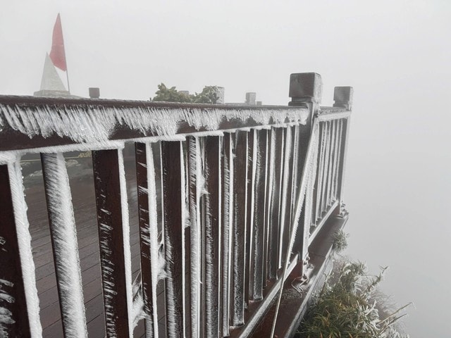 Băng giá phủ trắng đỉnh Fansipan sáng nay- Ảnh 1. Băng giá phủ trắng đỉnh Fansipan sáng nay- Ảnh 1.