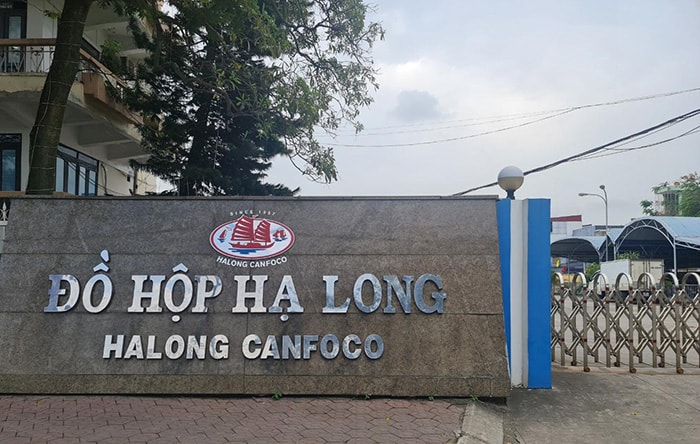 Công ty Đồ hộp Hạ Long tập kết hơn 120 tấn thịt lợn bệnh trong kho, nhiều hộp thịt đã chế biến xong- Ảnh 1.