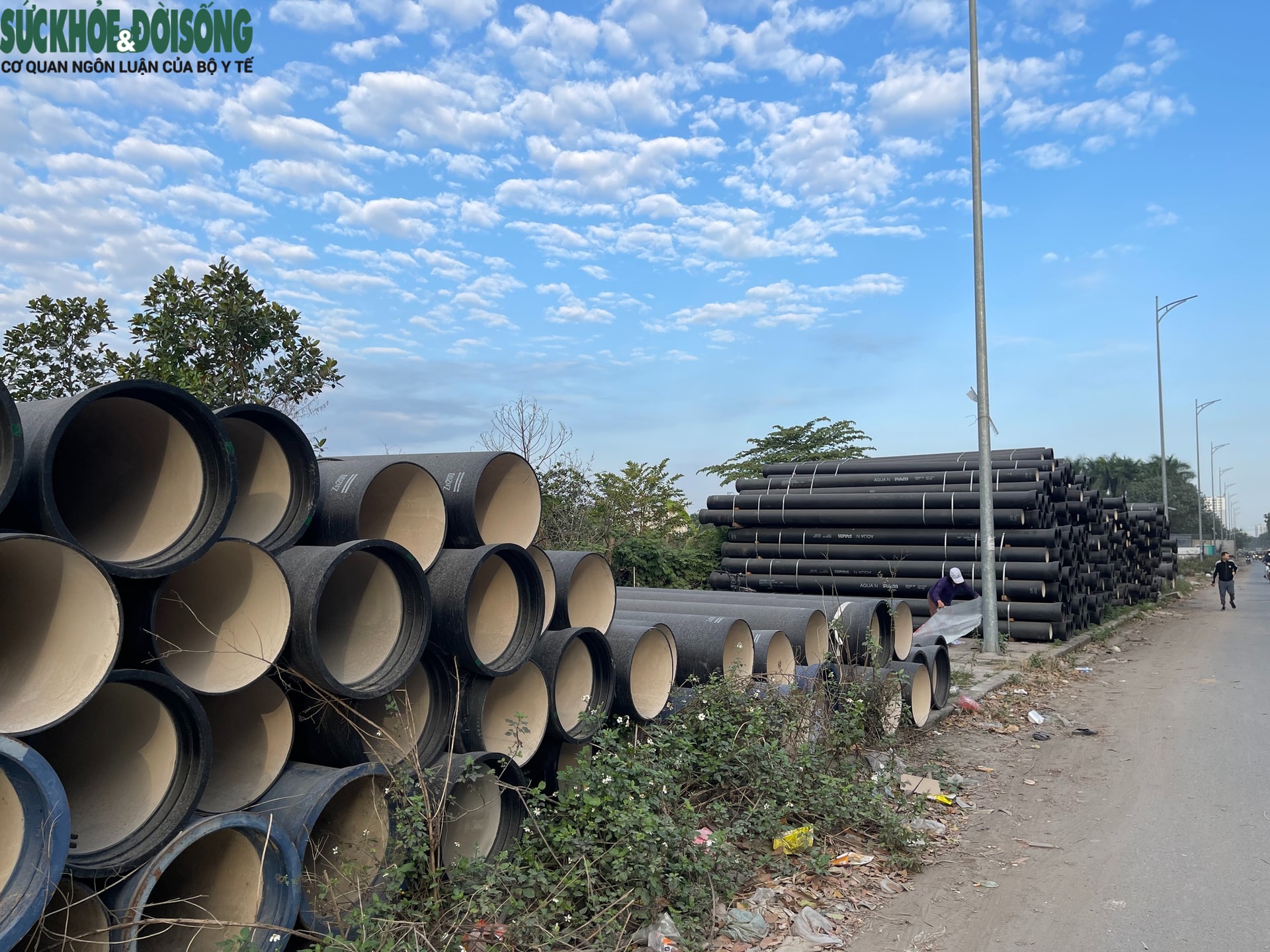 Tại sao cần chặt hạ loạt cây xà cừ cổ thụ trên đường 70?- Ảnh 10.