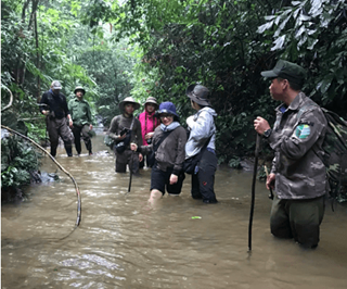 Nhân nuôi loài gà quý hiếm có nguy cơ tuyệt chủng trong tự nhiên- Ảnh 3. Nhân nuôi loài gà quý hiếm có nguy cơ tuyệt chủng trong tự nhiên- Ảnh 3.
