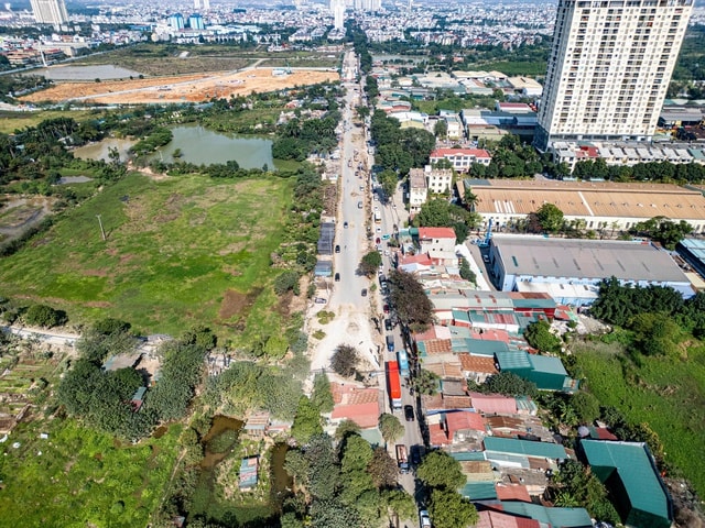 Cận cảnh loạt cây cổ thụ được chặt hạ phục vụ dự án mở rộng đường 50m tại Hà Nội- Ảnh 9.