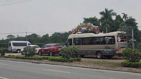 ‘Check-in', săn lùng đặc sản tại thủ phủ bưởi Diễn- Ảnh 1.
