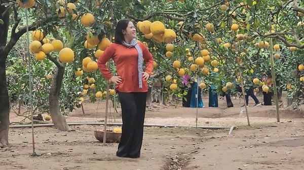 ‘Check-in', săn lùng đặc sản tại thủ phủ bưởi Diễn- Ảnh 6.