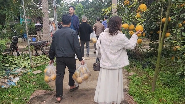 ‘Check-in', săn lùng đặc sản tại thủ phủ bưởi Diễn- Ảnh 9.