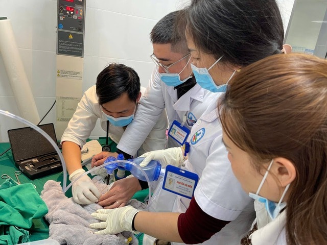 Cấp cứu kịp thời, chuyển tuyến an toàn ca sinh non 28 tuần nặng 900 gram- Ảnh 1.