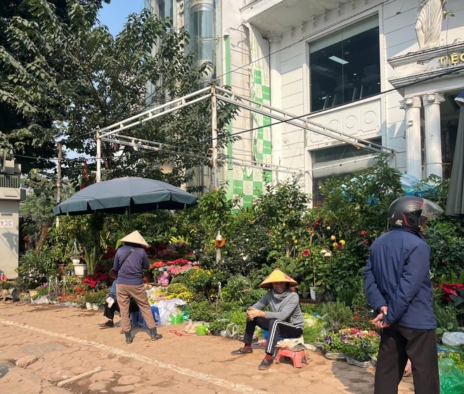Hoa Tết xuống phố sớm, quất cảnh đã 'lên kệ'- Ảnh 1.