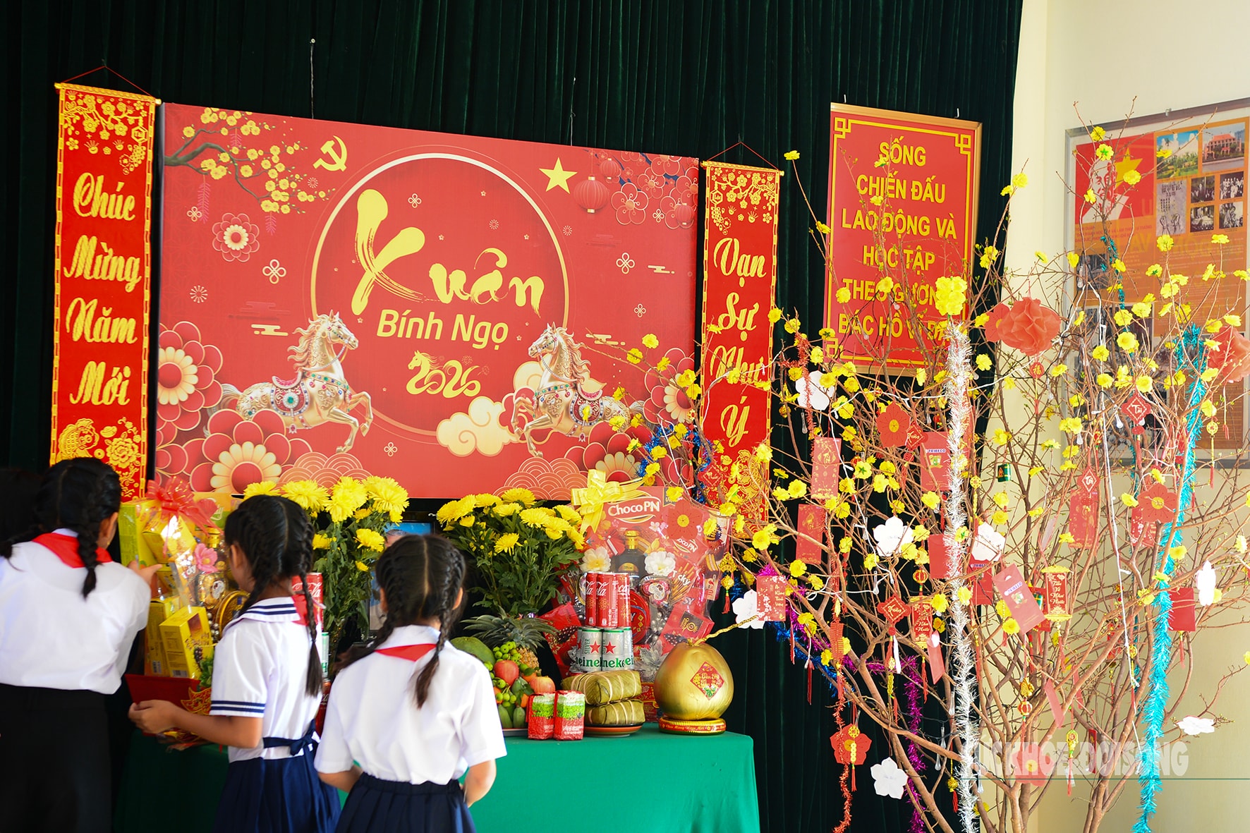 Mùa xuân đến với đảo tiền tiêu Thổ Chu- Ảnh 9.