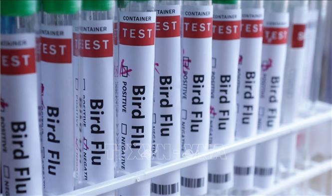 Australia cảnh báo chủng cúm mới lây lan mạnh- Ảnh 1.