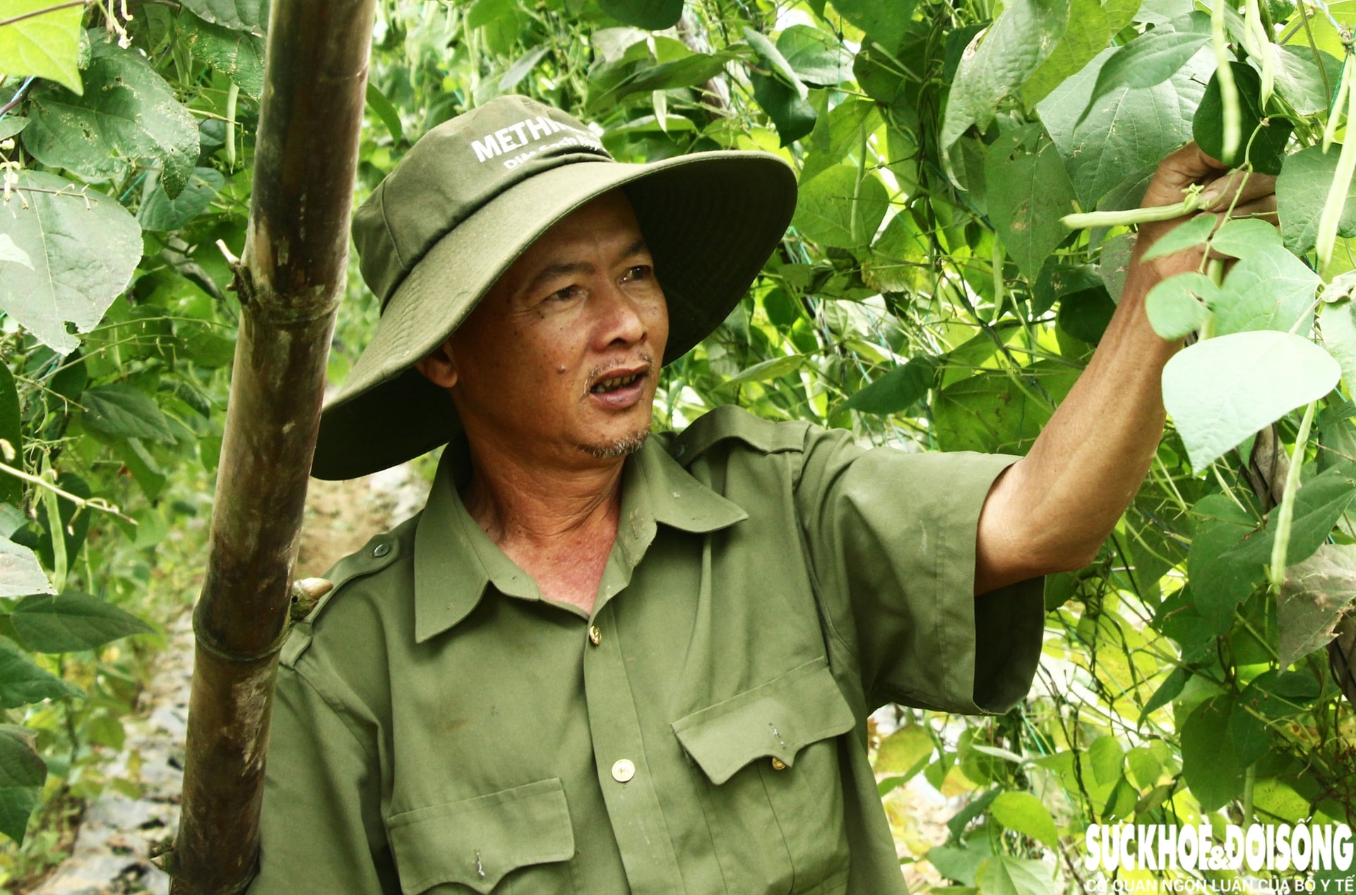 Những luống rau hồi sinh giữa vùng 'rốn lũ'- Ảnh 6.