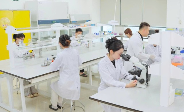 Thực hiện Nghị quyết 72: Đào tạo y tế công cộng là nền tảng của hệ thống y tế- Ảnh 2.