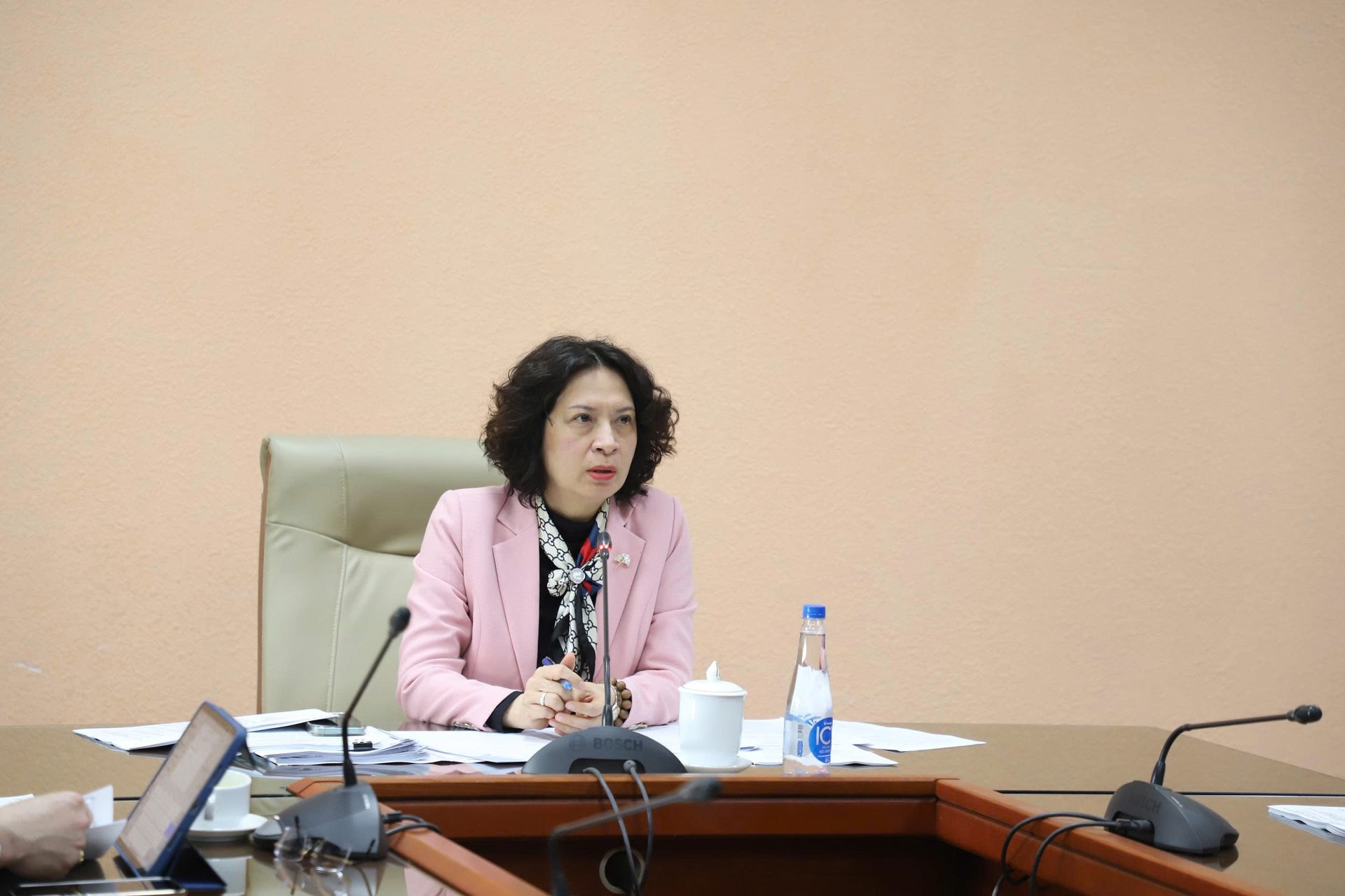 Thúc đẩy tiến độ triển khai xây dựng Hướng dẫn khám sàng lọc miễn phí- Ảnh 1.