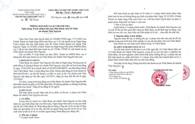 Thanh tra phát hiện vi phạm tại Vikki Bank Thái Nguyên- Ảnh 2.
