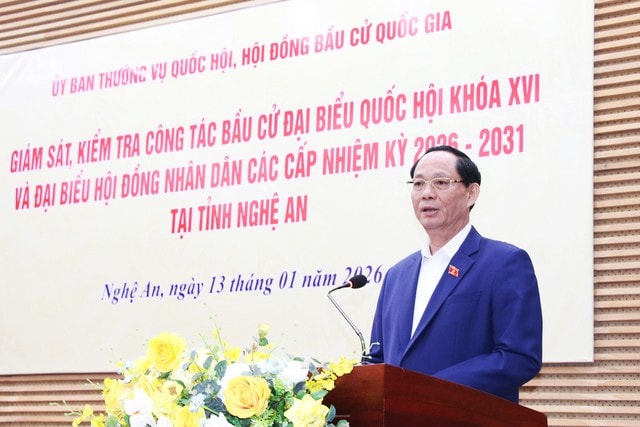 Phó Chủ tịch Quốc hội đánh giá cao công tác chuẩn bị bầu cử tại Nghệ An- Ảnh 3.