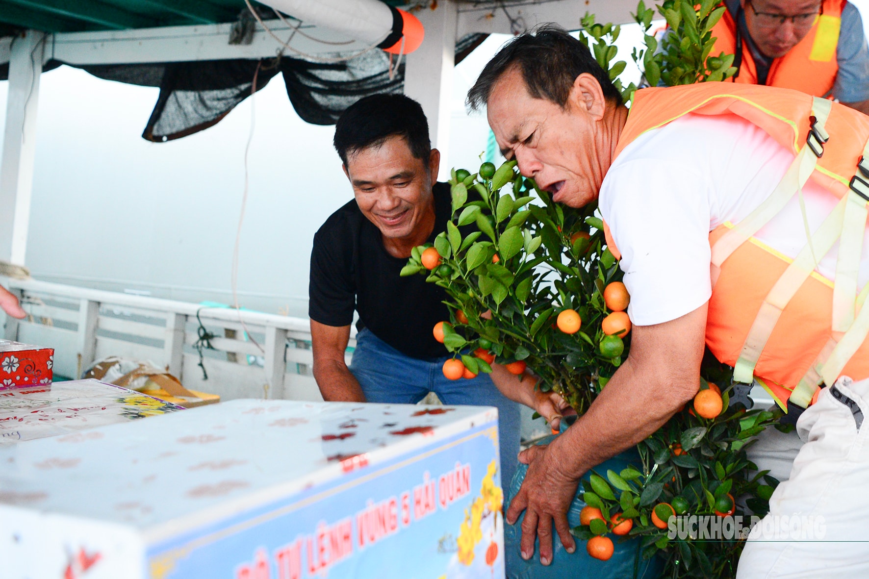 Xuân sớm nơi đảo Hòn Đốc- Ảnh 4.