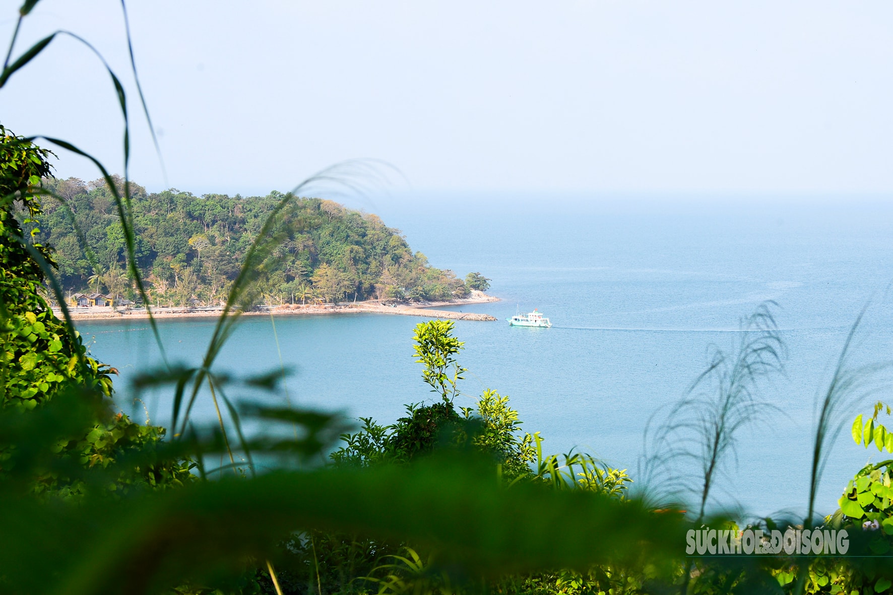 Xuân sớm nơi đảo Hòn Đốc- Ảnh 7.