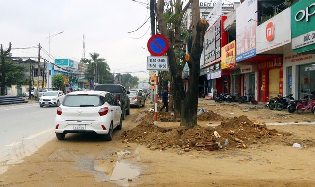 Bộ Công an đề nghị truy tố Chủ tịch Công ty Cây xanh Công Minh- Ảnh 2.