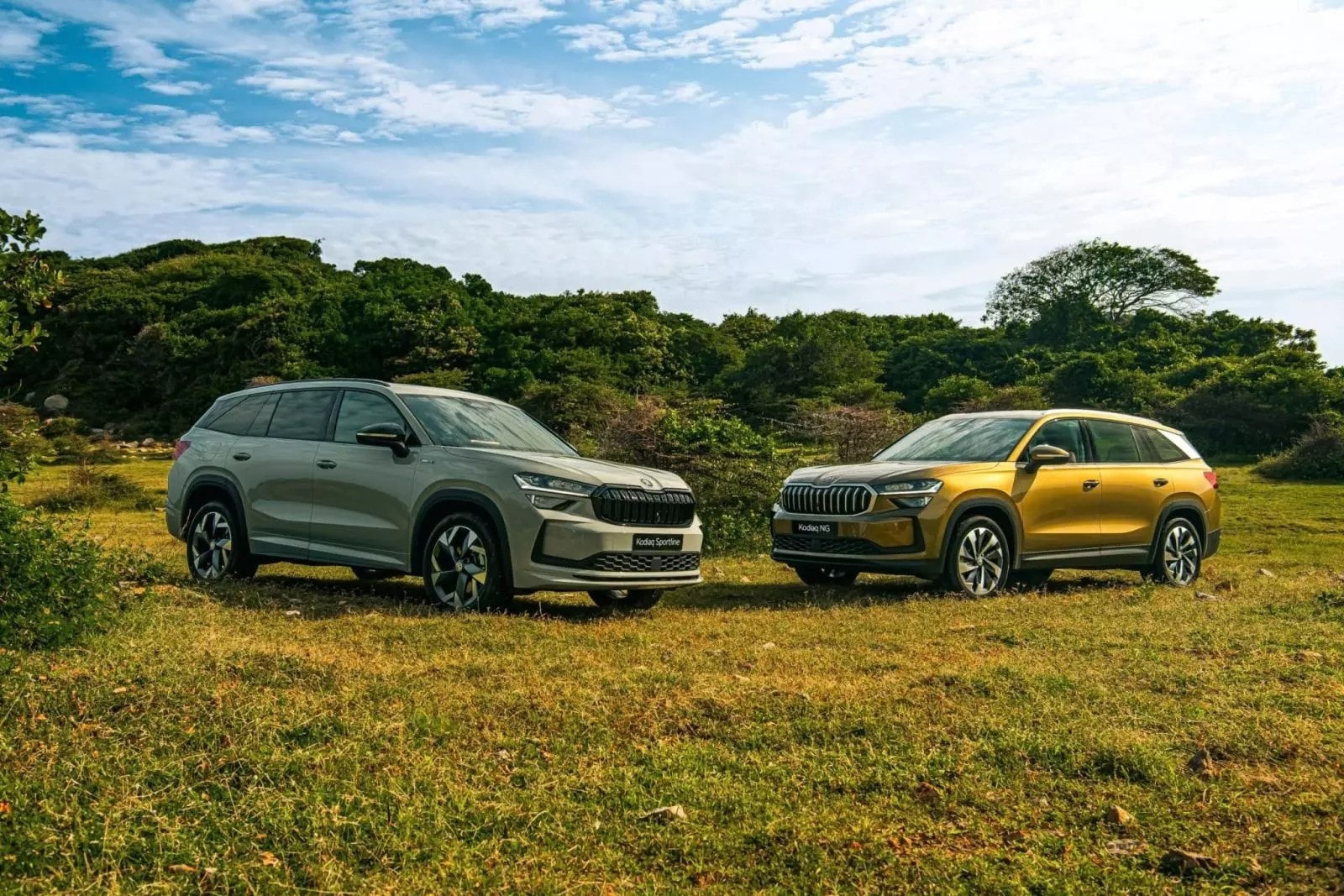 Các mẫu xe Skoda tập trung vào không gian rộng rãi, vận hành ổn định.