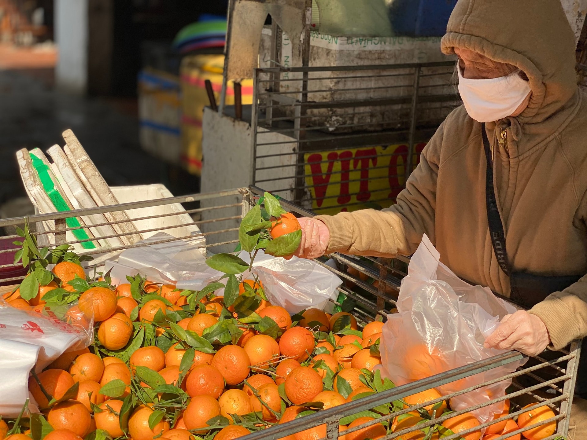Loại quýt mã rám có gì đặc biệt mà khiến tiểu thương Việt nhập hàng tạ về bán mỗi ngày?- Ảnh 2.