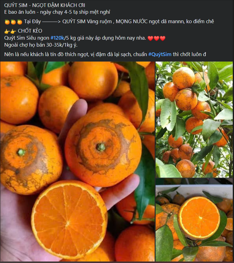 Loại quýt mã rám có gì đặc biệt mà khiến tiểu thương Việt nhập hàng tạ về bán mỗi ngày?- Ảnh 3.