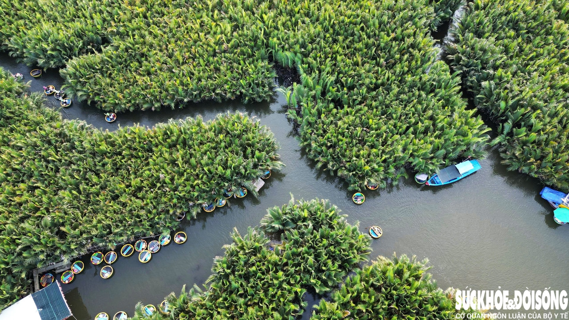 Mãn nhãn với ‘bản giao hưởng’ sông nước Cẩm Thanh, lọt top 50 làng đẹp nhất thế giới- Ảnh 3. Mãn nhãn với ‘bản giao hưởng’ sông nước Cẩm Thanh, lọt top 50 làng đẹp nhất thế giới- Ảnh 3.