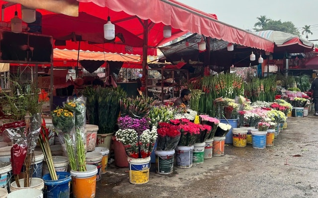 Lan, đào khoe sắc, người dân Hà Nội háo hức mang Tết sớm về nhà- Ảnh 16.