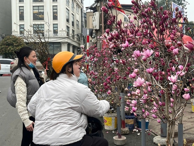 Lan, đào khoe sắc, người dân Hà Nội háo hức mang Tết sớm về nhà- Ảnh 12.