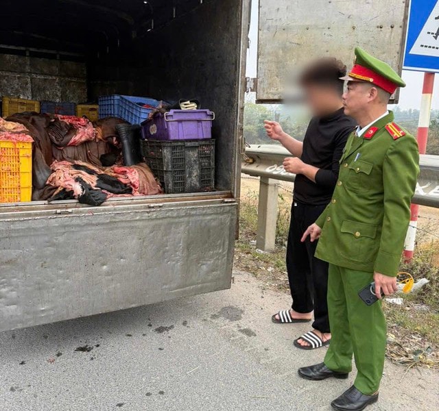 Phú Thọ: Ngăn chặn 1,2 tấn mỡ, da trâu bò không rõ nguồn gốc khi đang lưu thông- Ảnh 1. Phú Thọ: Ngăn chặn 1,2 tấn mỡ, da trâu bò không rõ nguồn gốc khi đang lưu thông- Ảnh 1.