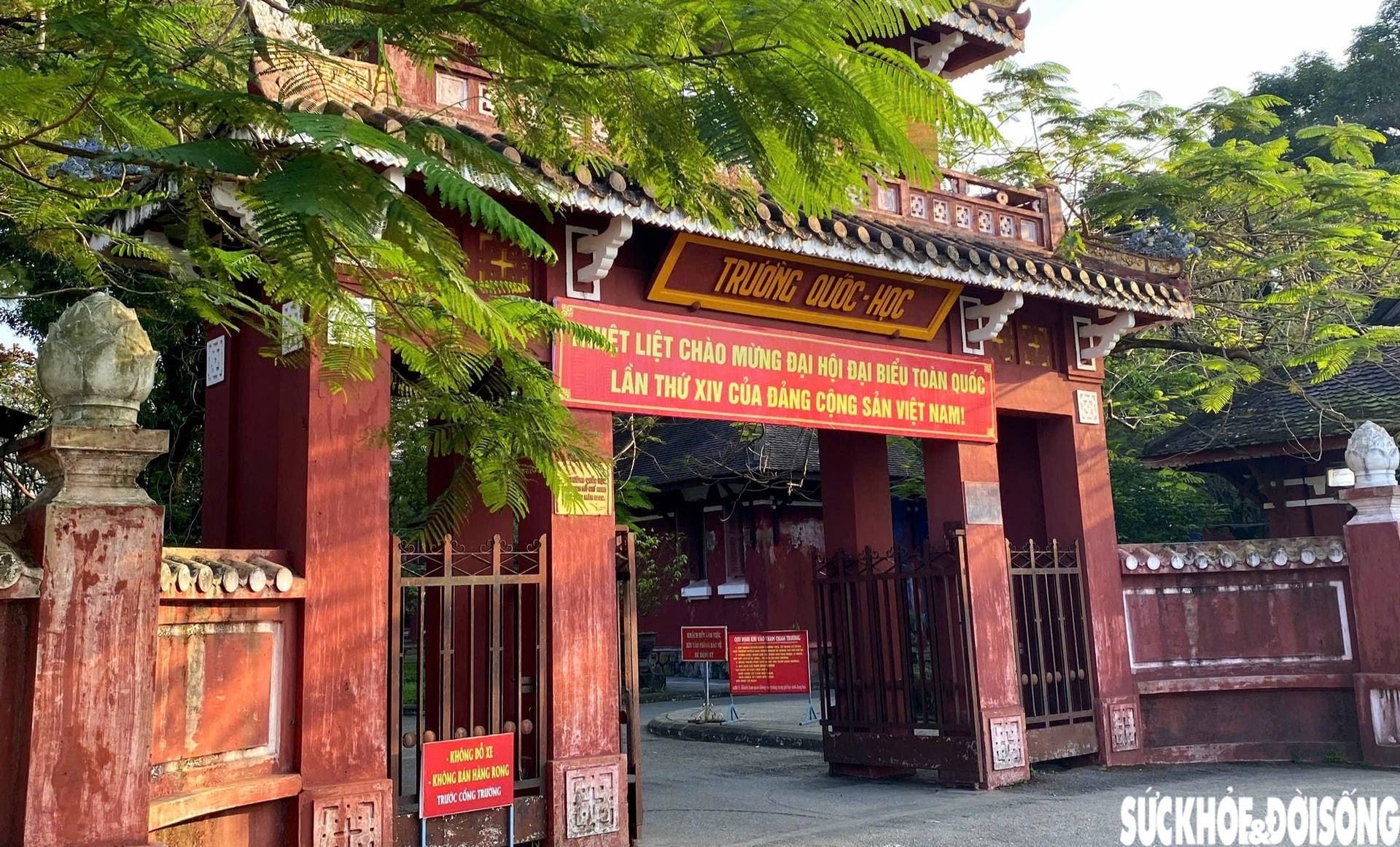 TP Huế rực rỡ cờ hoa hướng về Đại hội XIV của Đảng- Ảnh 7.