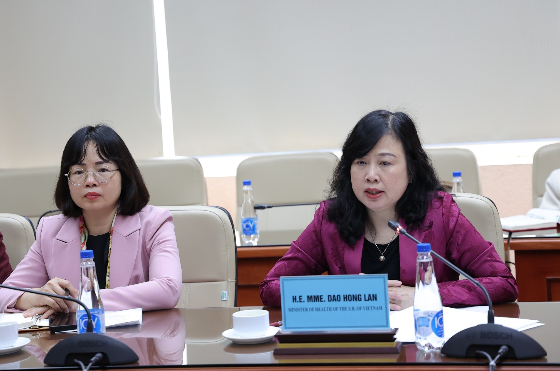 Bộ trưởng Đào Hồng Lan tiếp Trưởng phái đoàn Tổ chức Di cư Quốc tế tại Việt Nam và đại diện Đại sứ quán Nhật Bản- Ảnh 4.