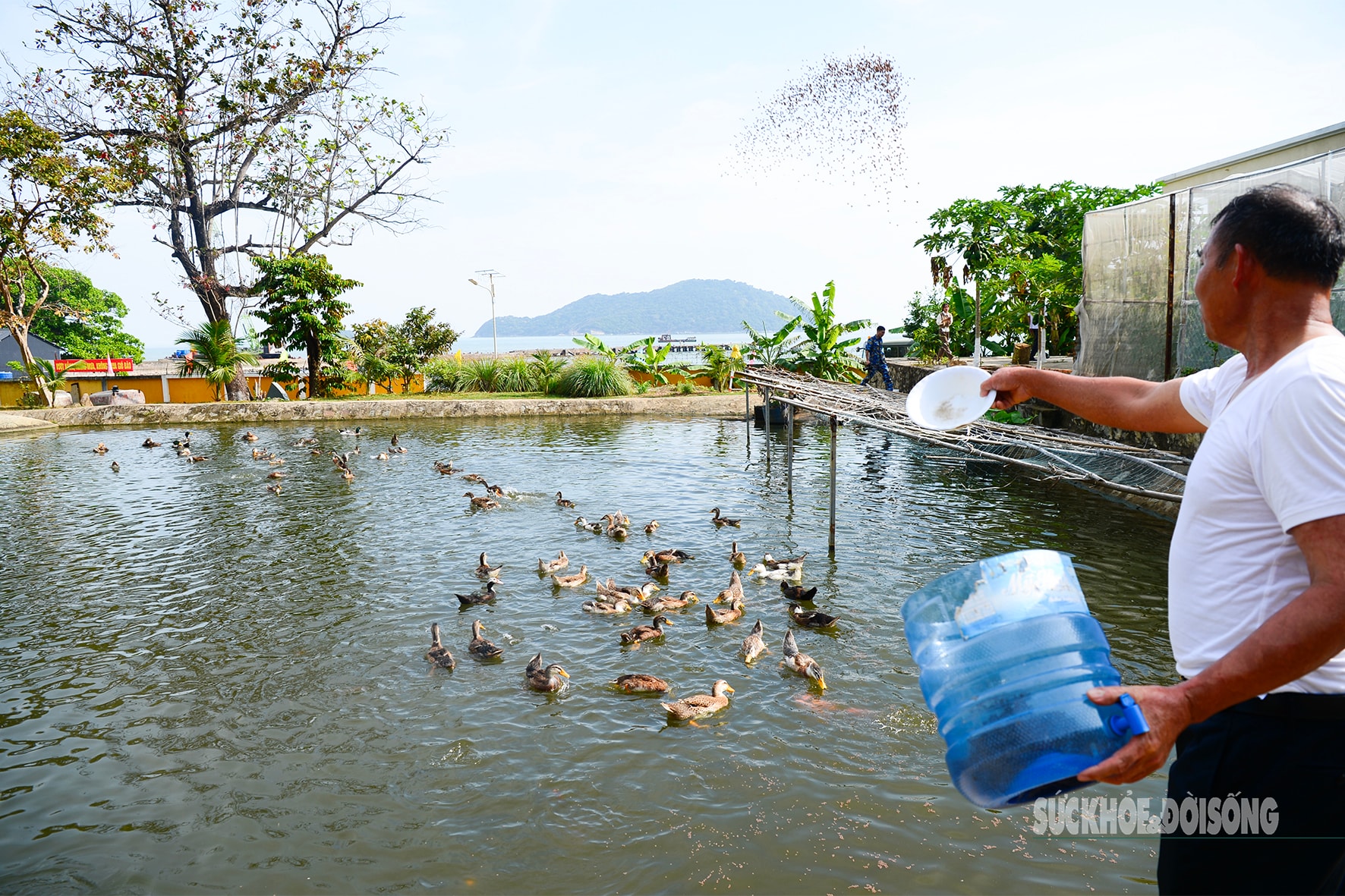 Bốn thập kỷ kiên cường bám đảo, người lính viết đơn xin ở lại- Ảnh 6.