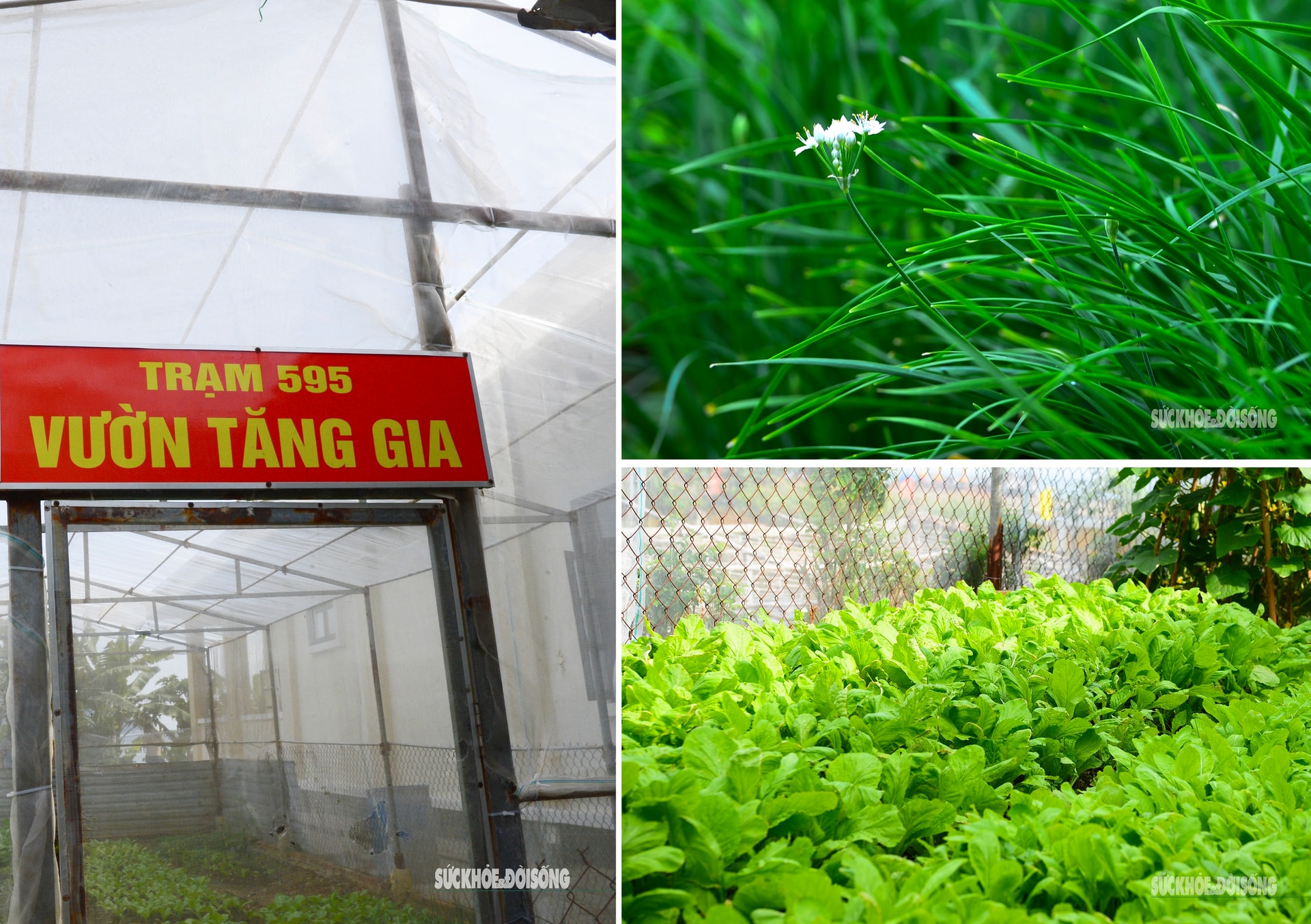 Bốn thập kỷ kiên cường bám đảo, người lính viết đơn xin ở lại- Ảnh 10.