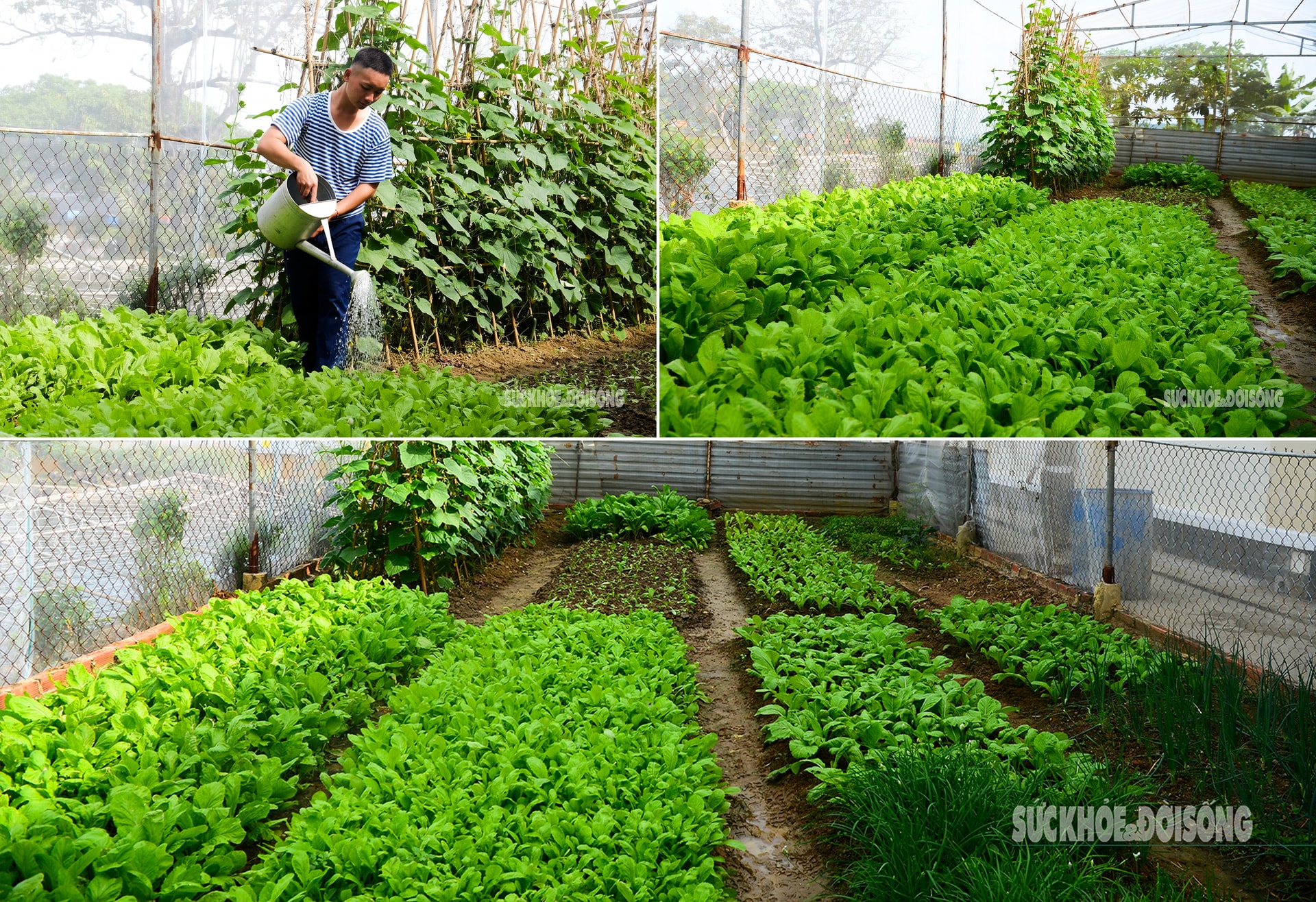 Bốn thập kỷ kiên cường bám đảo, người lính viết đơn xin ở lại- Ảnh 7.