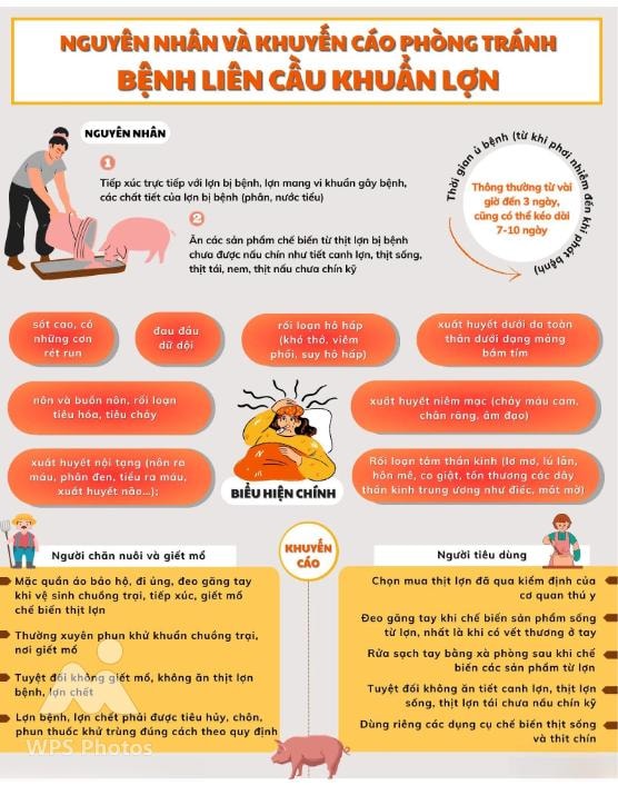 Ngành Y tế khuyến cáo thay đổi thói quen ăn uống để phòng liên cầu lợn- Ảnh 1.