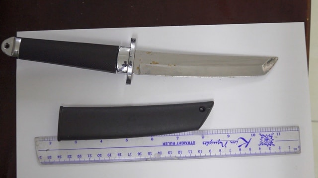 Bắt 4 thanh thiếu niên tấn công, cướp tài sản của người nước ngoài- Ảnh 2.