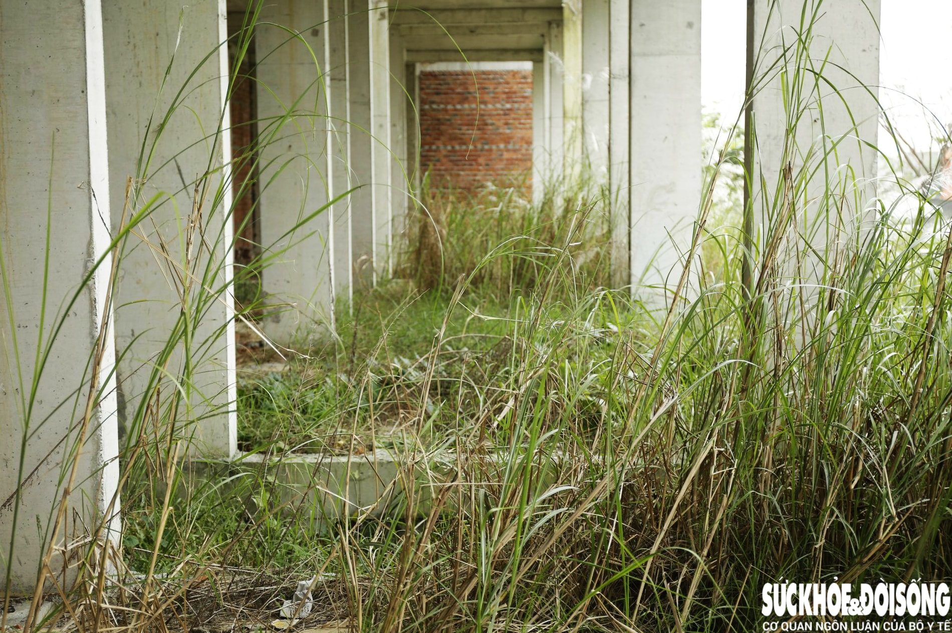 Cận cảnh dự án nhà ở thu nhập thấp 700 tỷ đồng hoang phế ở Đà Nẵng- Ảnh 7. Cận cảnh dự án nhà ở thu nhập thấp 700 tỷ đồng hoang phế ở Đà Nẵng- Ảnh 7.