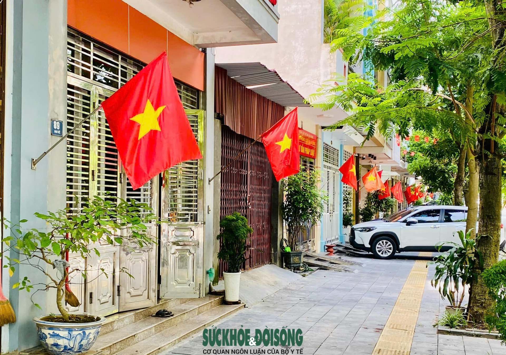 Hải Phòng, Quảng Ninh rực sắc đỏ chào mừng Đại hội lần thứ XIV của Đảng- Ảnh 9. Hải Phòng, Quảng Ninh rực sắc đỏ chào mừng Đại hội lần thứ XIV của Đảng- Ảnh 9.