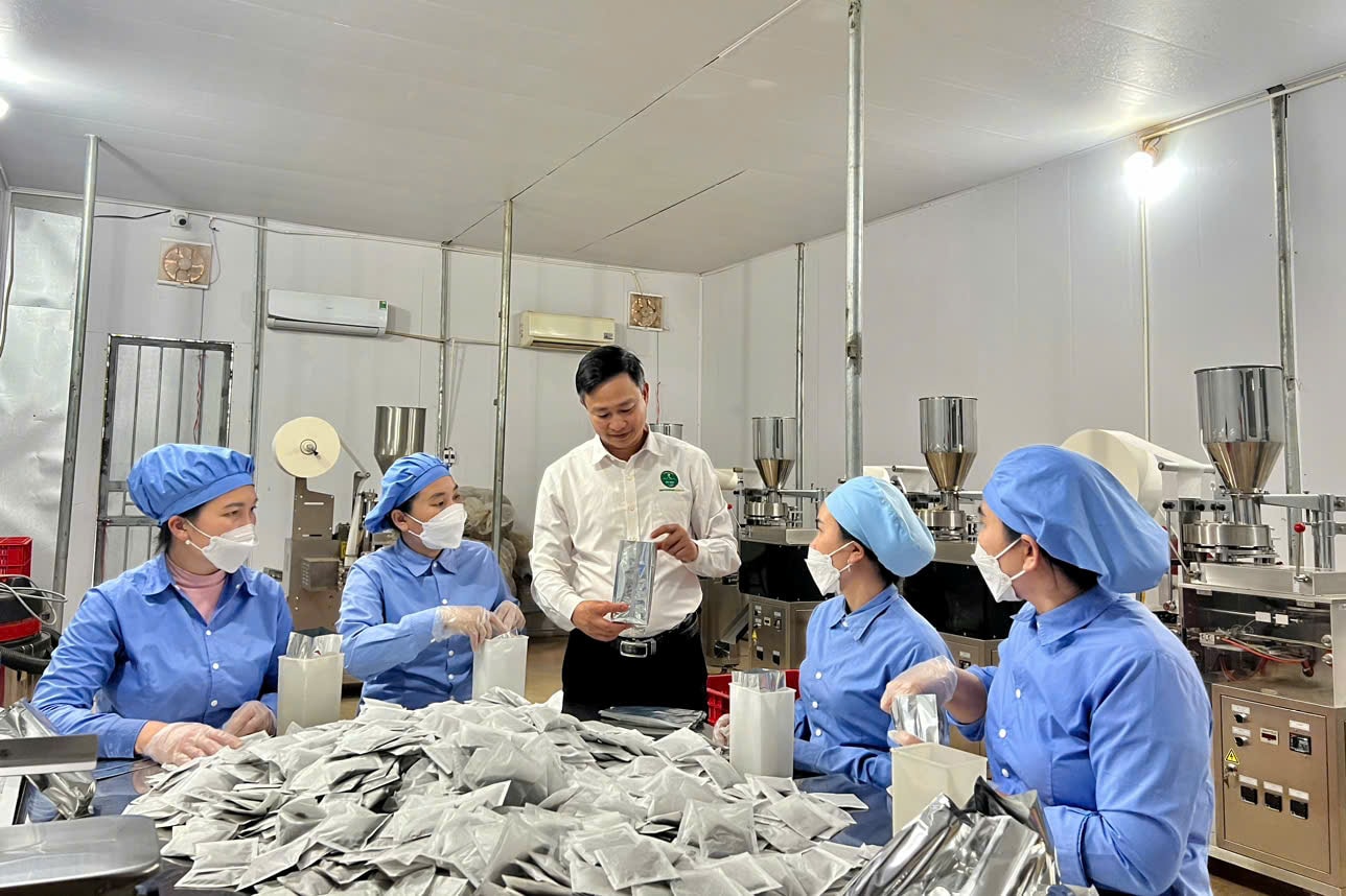 Đại hội XIV của Đảng: Người dân quê Bác gửi trọn niềm tin và kỳ vọng- Ảnh 4.