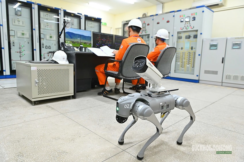 Những người thầm lặng giữ dòng điện cho Đại hội XIV- Ảnh 6. Những người thầm lặng giữ dòng điện cho Đại hội XIV- Ảnh 6.