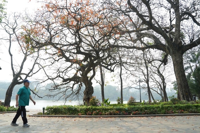 Miền Bắc hửng nắng ấm trước khi đón không khí lạnh mạnh- Ảnh 1.