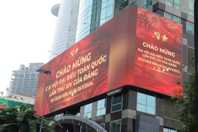 TPHCM rực rỡ sắc cờ hoa hướng về Đại hội XIV của Đảng- Ảnh 2.