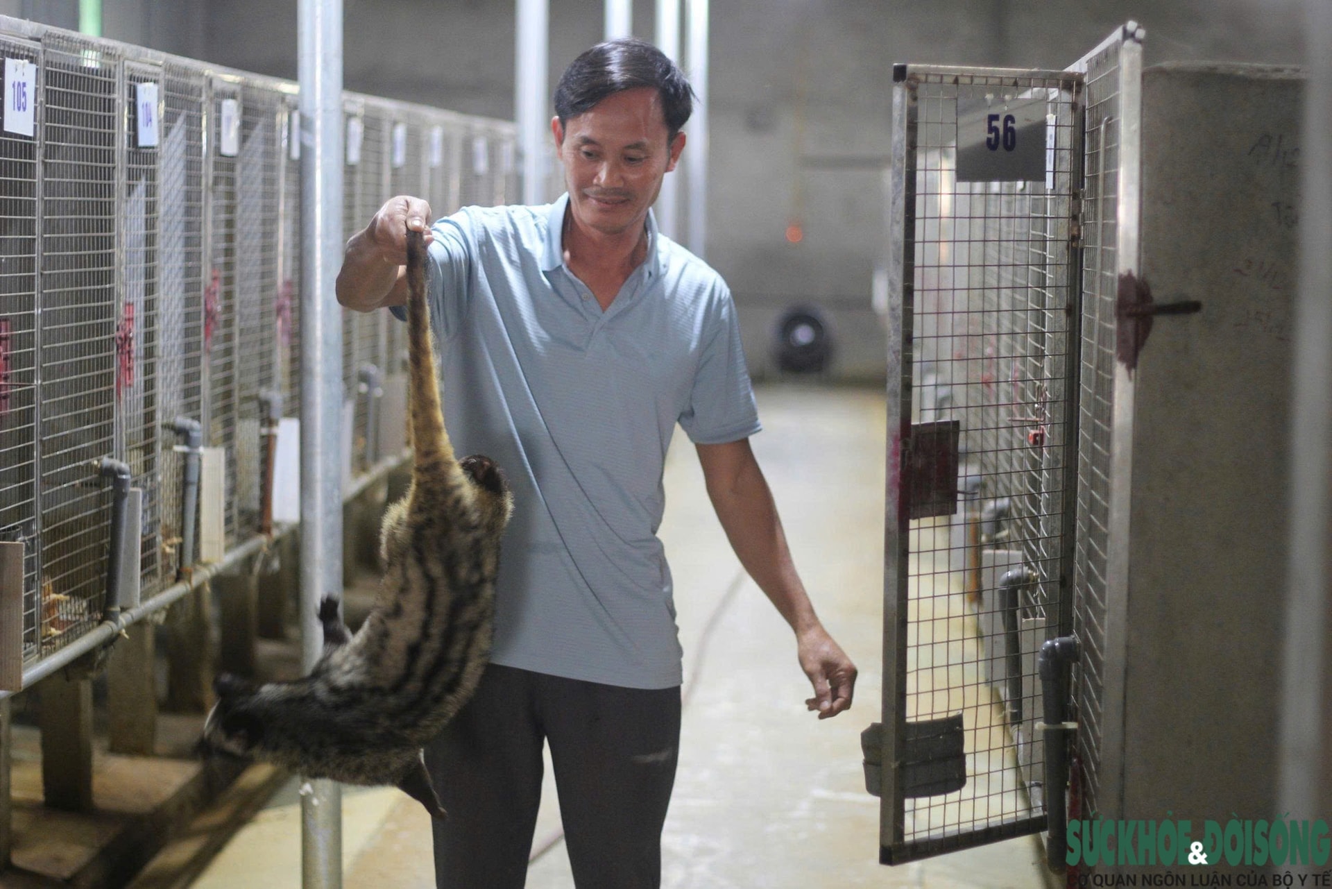 Bỏ phố về quê, làm giàu từ mô hình nuôi động vật hoang dã- Ảnh 4. Bỏ phố về quê, làm giàu từ mô hình nuôi động vật hoang dã- Ảnh 4.