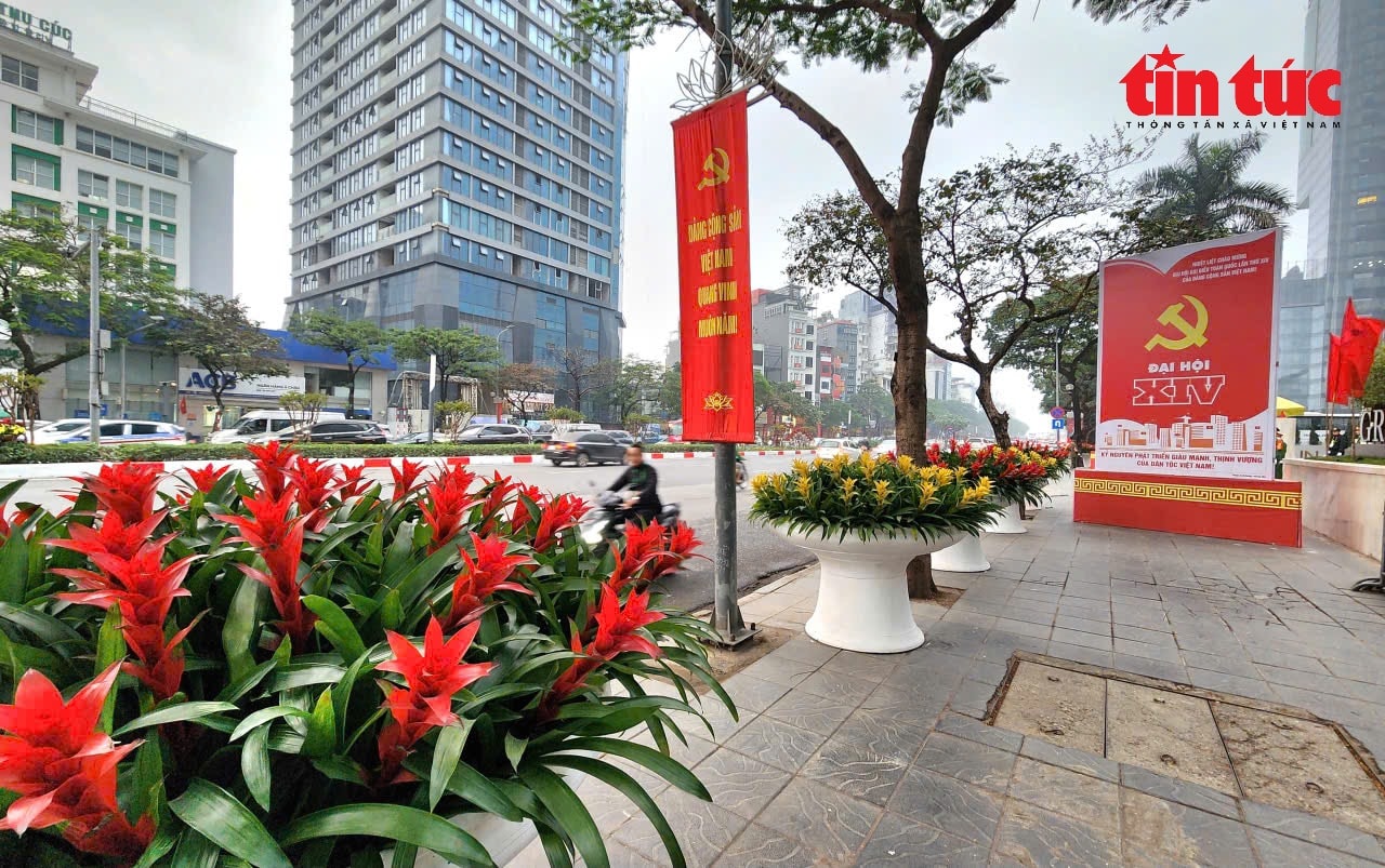 Đường phố rực rỡ sắc đỏ cờ hoa trong ngày làm việc đầu tiên Đại hội XIV của Đảng- Ảnh 7. Đường phố rực rỡ sắc đỏ cờ hoa trong ngày làm việc đầu tiên Đại hội XIV của Đảng- Ảnh 7.