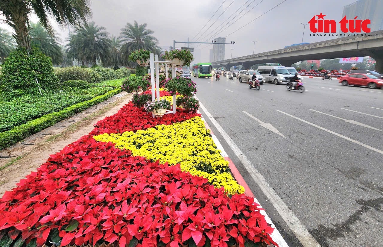 Đường phố rực rỡ sắc đỏ cờ hoa trong ngày làm việc đầu tiên Đại hội XIV của Đảng- Ảnh 9. Đường phố rực rỡ sắc đỏ cờ hoa trong ngày làm việc đầu tiên Đại hội XIV của Đảng- Ảnh 9.